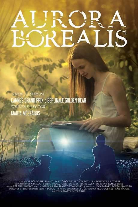 Aurora Borealis: Northern Light